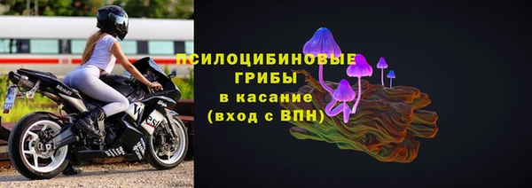 стаф Алзамай