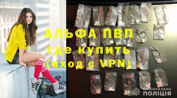 ГАЛЛЮЦИНОГЕННЫЕ ГРИБЫ Россошь