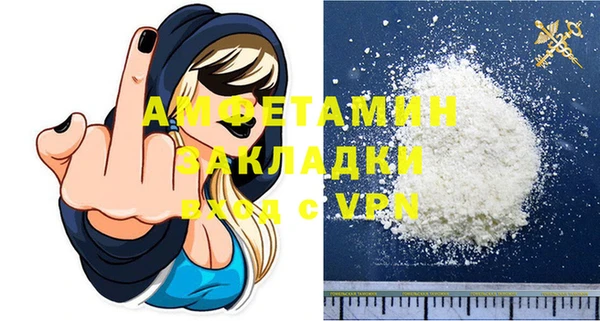стаф Алзамай