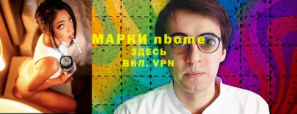 стаф Алзамай