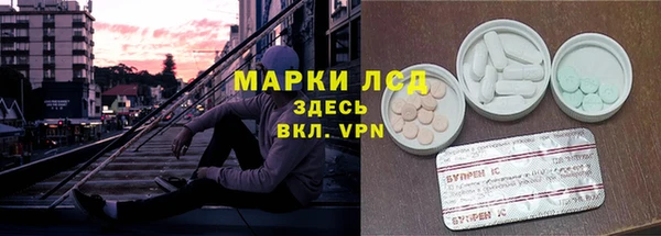 стаф Алзамай