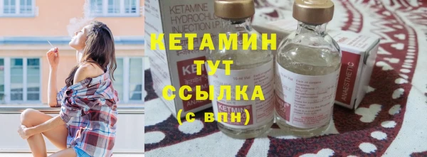 стаф Алзамай