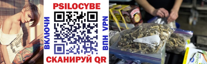 как найти   Козловка  Псилоцибиновые грибы мицелий 